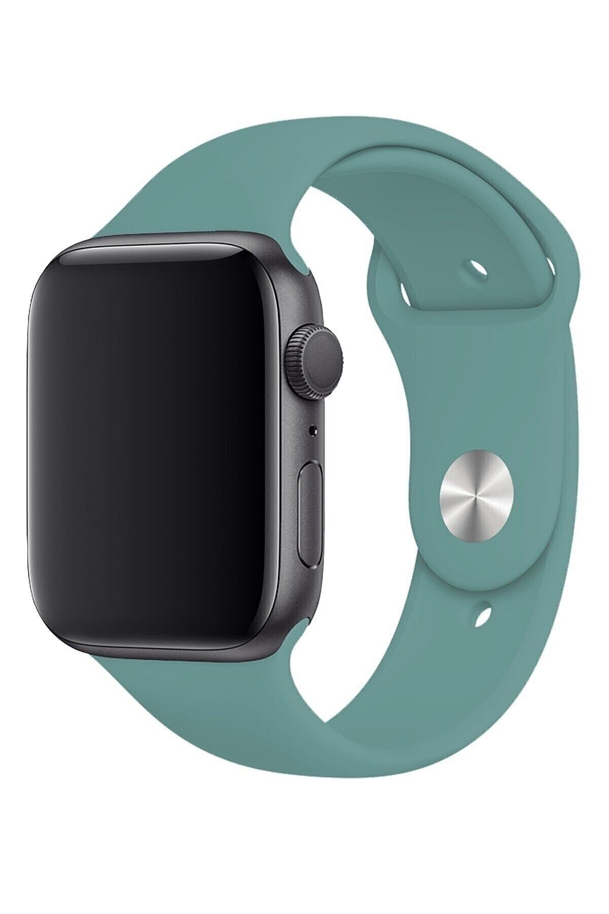 Cactus Silicone Strap for Apple Watch – CyStraps